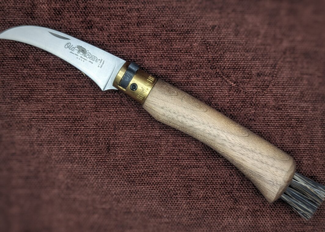 Couteau à champignon OldBear. Manche en noyer. Vue du couteau ouvert sur le côté gauche on voit le poinçon en entier. Il y a des poils au bout du manche pour nettoyer les champignons. Couteau industriel de marque italienne Coutellerie Châteauneuf-du-Pape, Coutellerie du Pape, Vaucluse