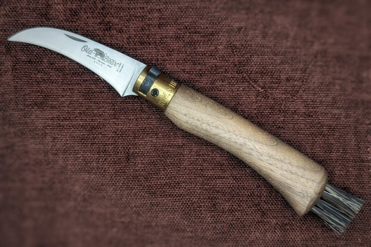 Couteau à champignon OldBear. Manche en noyer. Vue du couteau ouvert sur le côté gauche on voit le poinçon en entier. Il y a des poils au bout du manche pour nettoyer les champignons. Couteau industriel de marque italienne Coutellerie Châteauneuf-du-Pape, Coutellerie du Pape, Vaucluse